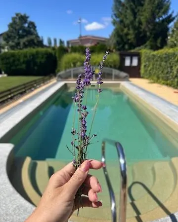 Lenka Apartamento Veľký Meder